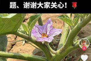 塞巴略斯本场数据：1粒进球，2次关键传球，3次抢断，评分8.3分